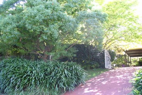 8 Burford St, Hazelbrook, NSW 2779