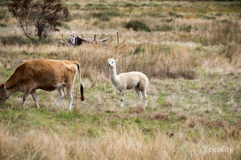 109 Keenan Rd, Pink Lake, WA 6450