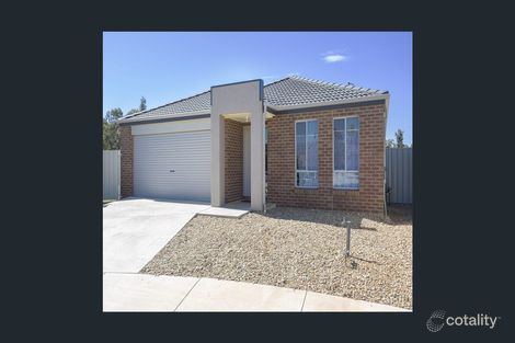 Property photo of 7 Nirimba Court Ascot VIC 3551
