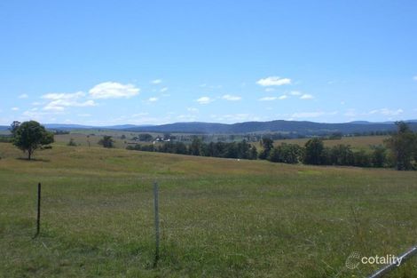 353 Plains Station Rd, Tabulam, NSW 2469