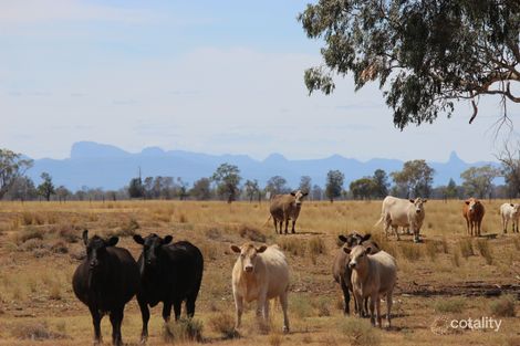 5413 Castlereagh Hwy, Gulargambone, NSW 2828