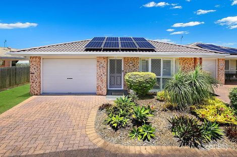 116/2 Peregrine Dr, Wurtulla, QLD 4575