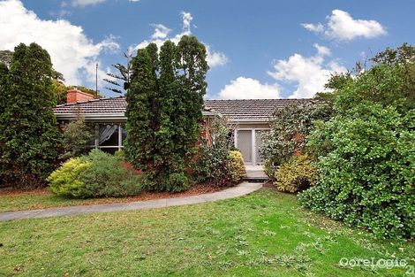 Property photo of 33 Marrbridge Road Moorabbin VIC 3189