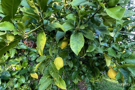 Property photo of 16 Cowper Street Coonabarabran NSW 2357