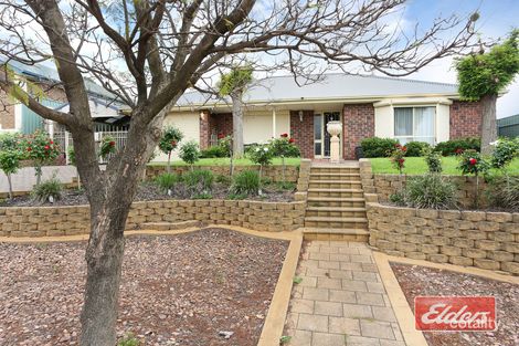 Property photo of 53 Murray Road Hewett SA 5118