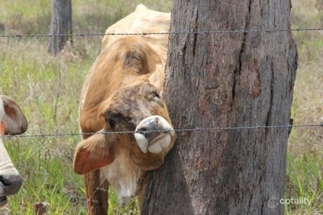 5 Weller Rd, Mcilwraith, QLD 4671