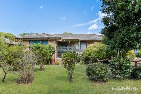 1/3 Joyce St, Boronia, VIC 3155