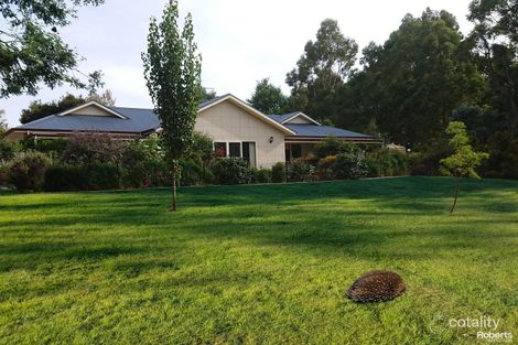 Property photo of 13 Hillwood Rise Spreyton TAS 7310
