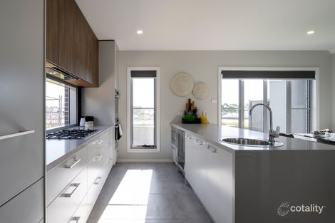 Property photo of 46 Tuckeroo Street Gables NSW 2765