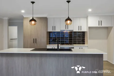 Property photo of 30 Balm Avenue Spring Mountain QLD 4300
