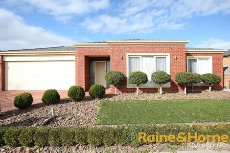 Property photo of 55 Filmer Crescent Narre Warren South VIC 3805