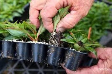 1 Hesse St, Colac, VIC 3250