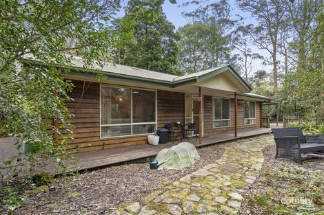 Property photo of 9 Mundora Road Springbrook QLD 4213