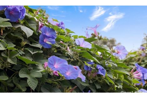 15 Old Mill Rd, Barwon Downs, VIC 3243