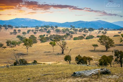 1995 Old Cooma Rd, Royalla, NSW 2620