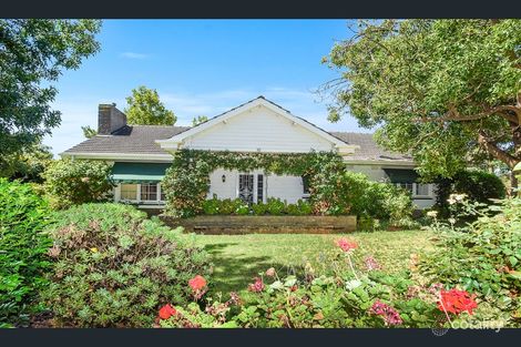 10 Alison Ave, Marion, SA 5043