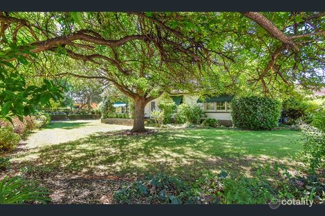 Property photo of 10 Alison Avenue Marion SA 5043
