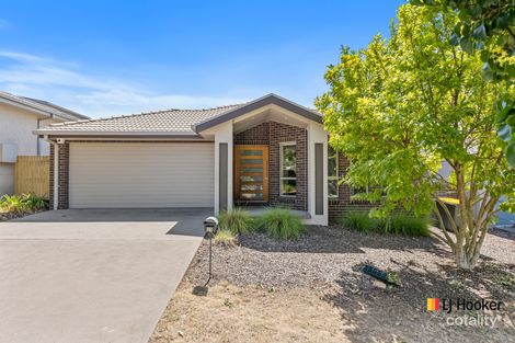 Property photo of 33 Jean Macnamara Street Macgregor ACT 2615