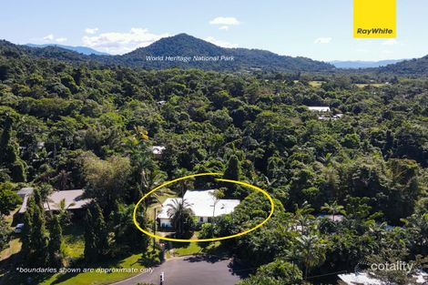 Property photo of 26 Webb Court Bingil Bay QLD 4852