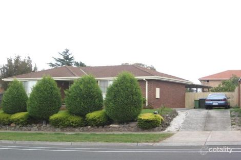 11 Reema Bvd, Endeavour Hills, VIC 3802