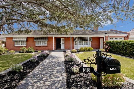58 Rutland Ave, Lockleys, SA 5032