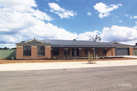 Property photo of 14 Lyndam Avenue Maiden Gully VIC 3551