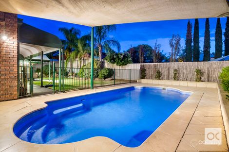 Property photo of 51 Angove Park Drive Tea Tree Gully SA 5091