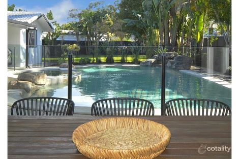 Property photo of 6 Ling Place Palm Beach QLD 4221