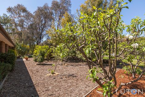 8 Carr Cres, Wanniassa, ACT 2903
