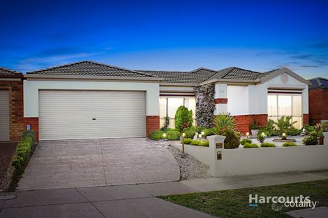 71 Fydler Ave, Burnside, VIC 3023