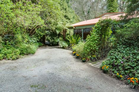 Property photo of 15 Alice Street Sassafras VIC 3787