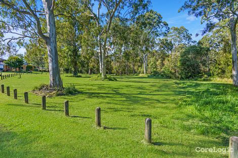 Property photo of 6 Parkridge Place Birkdale QLD 4159