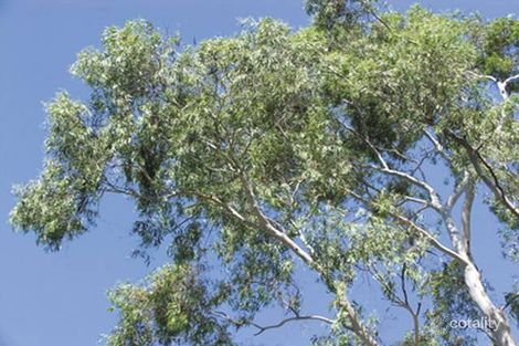 Property photo of 2/8 Jennerae Drive Stuart NT 0870