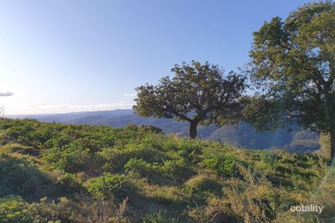 4127 Halls Creek Rd, Halls Creek, NSW 2346