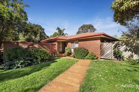 Property photo of 5/231-239 Canterbury Road Blackburn VIC 3130