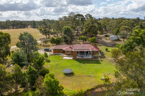 Property photo of 111 Everitt Road Peechelba VIC 3678