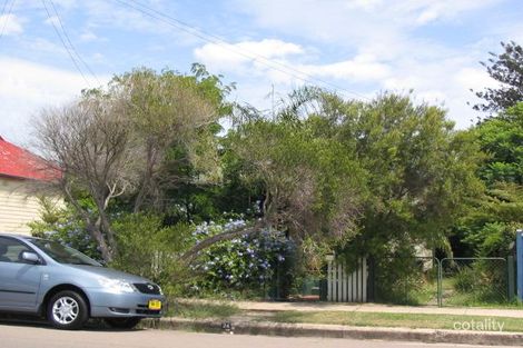 Property photo of 24 Ingall Street Mayfield NSW 2304