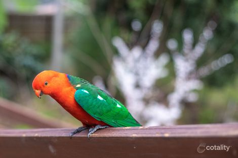 Property photo of 1 Bell Street Killara NSW 2071