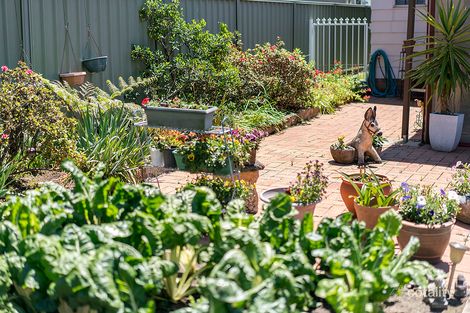 Property photo of 25 Eighth Street Adamstown NSW 2289