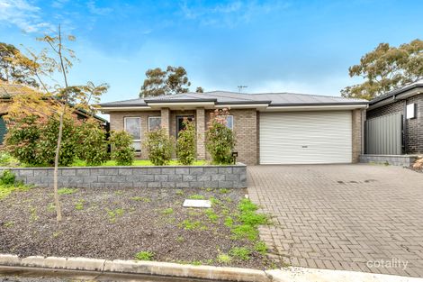Property photo of 1B Baudin Avenue Fairview Park SA 5126