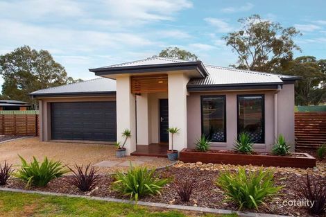 Property photo of 4 Newell Court Campbells Creek VIC 3451