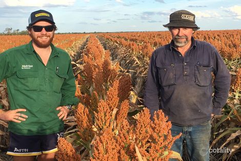 Property photo of 21 Eclipse Street Springsure QLD 4722