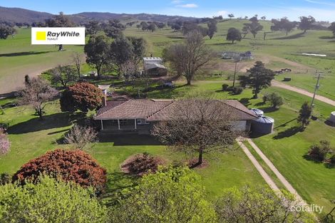 1817 Adelong Rd, Tumblong, NSW 2729