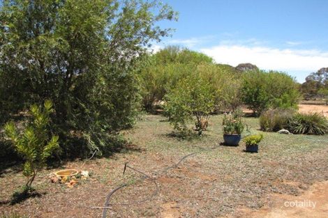 Property photo of 1647 Old Sturt Highway Monash SA 5342
