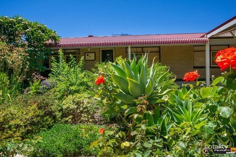 Property photo of 18 Dormans Road Morley WA 6062
