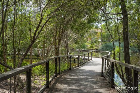 Property photo of 19 Verry Street Coorparoo QLD 4151