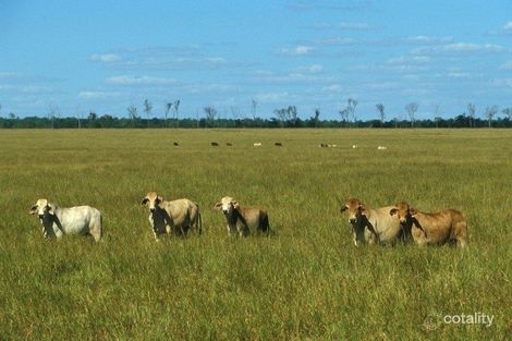 1160 Fleming Rd, Douglas-Daly, NT 0822