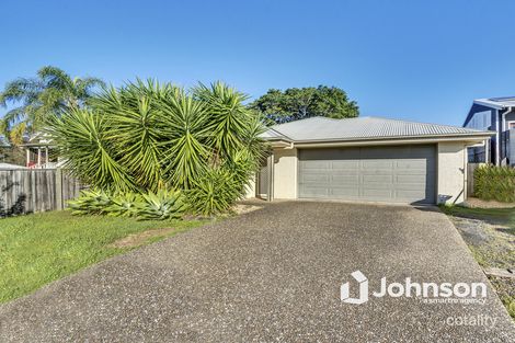 Property photo of 57 Harding Street Raceview QLD 4305
