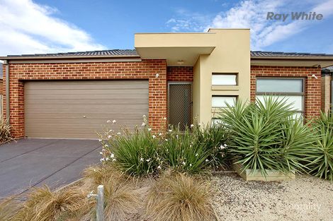 Property photo of 5 Rodeo Grove Point Cook VIC 3030