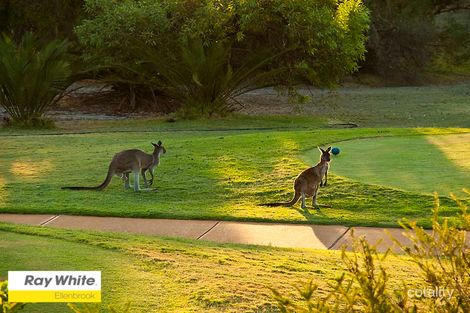 25 The Fairways, The Vines, WA 6069